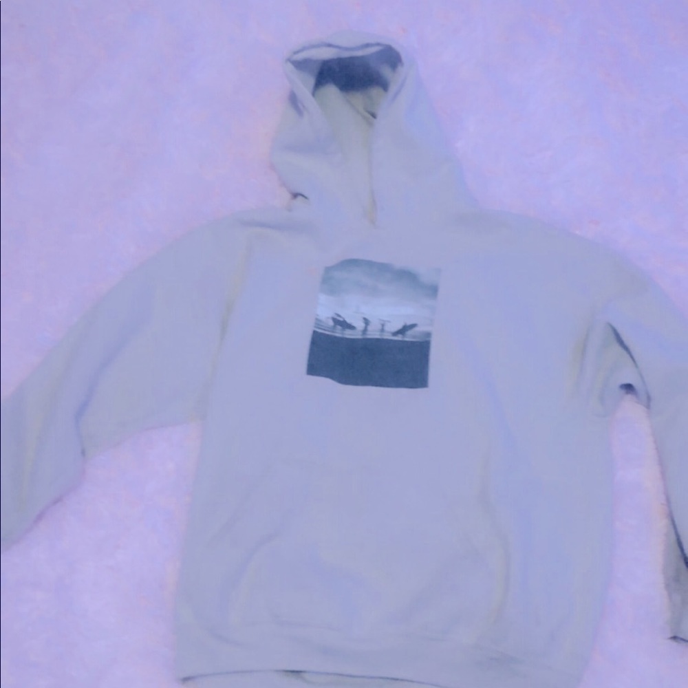 Tan hoodie, has a picture on the front